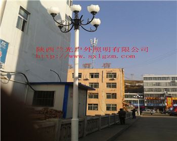 寧夏中華燈-陜北道路照明項目