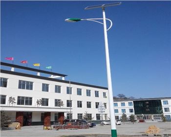 寧夏市電景觀路燈-寧夏省慶陽市華池縣五蛟鄉中學路燈工程