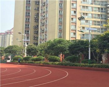 寧夏學校路燈改造-寧夏省西安高新一中路燈項目