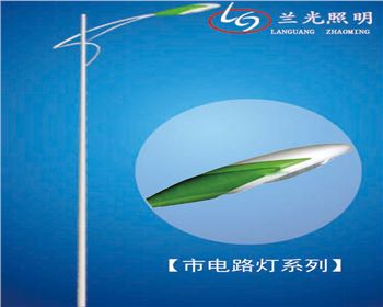 寧夏6米市電路燈