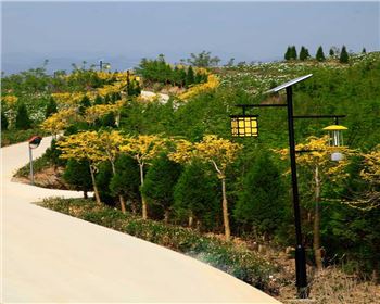 陜西省隴南市文縣太陽能殺蟲燈項目