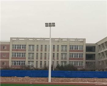 寧夏西安藍田縣職教中心操場亮化高桿燈項目