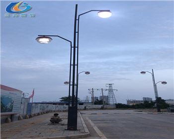 青海洛川蘋果文化工業園路燈改造項目